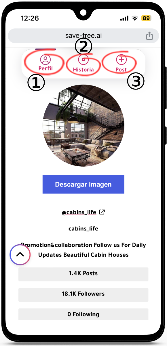 Visor de Instagram online
