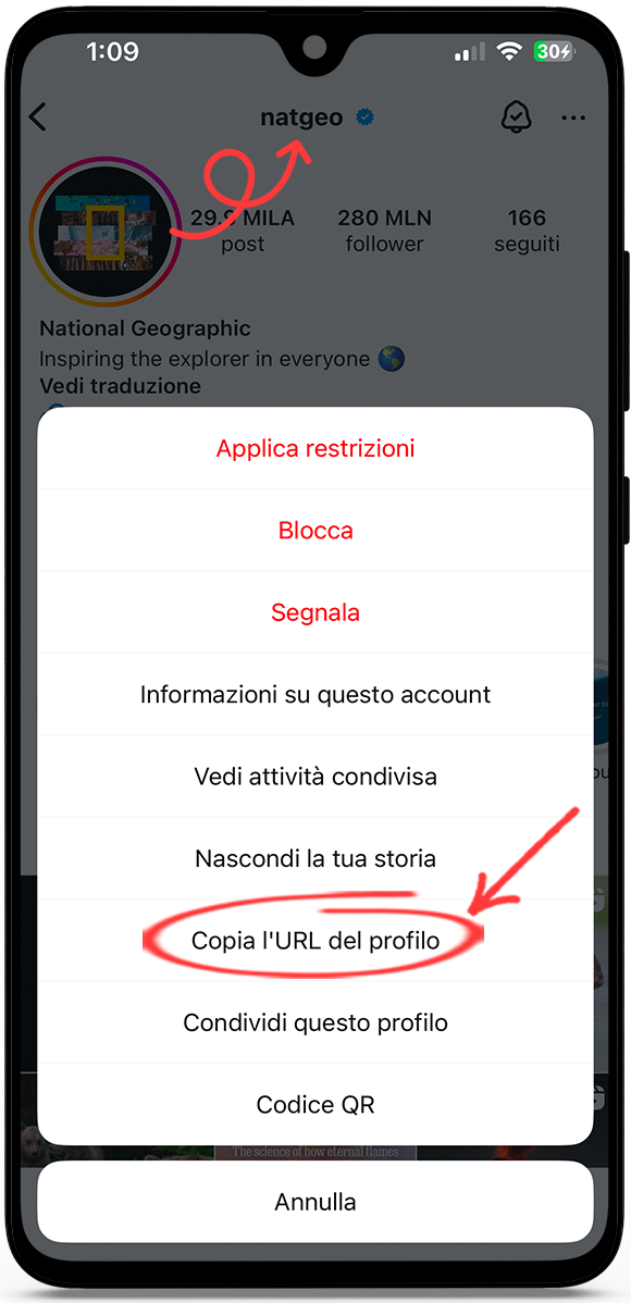 storie instagram anonimo
