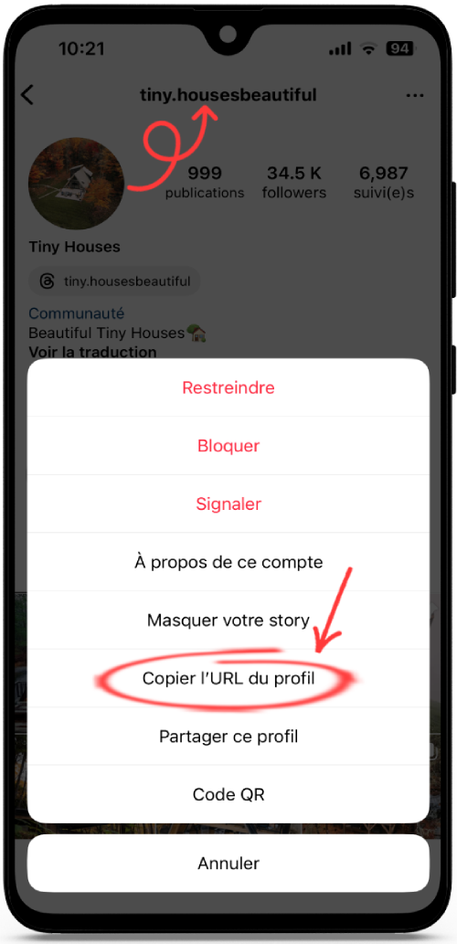 Voir Profil Instagram