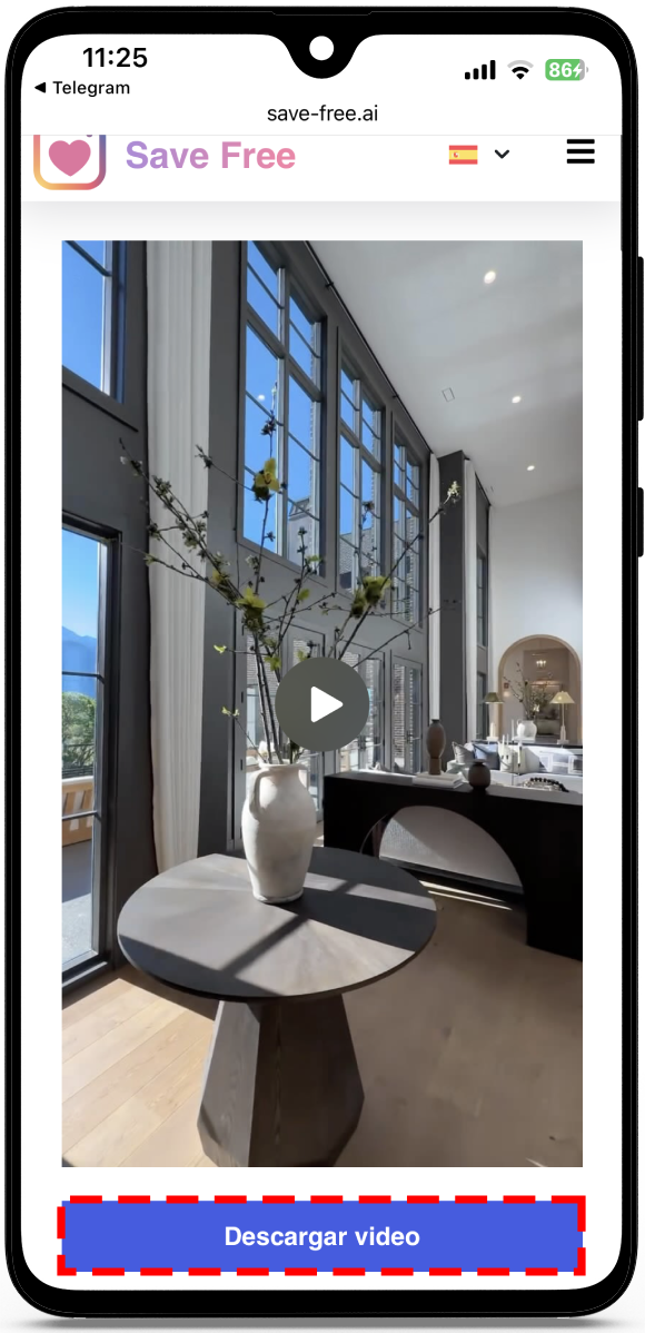 descargar reels instagram
