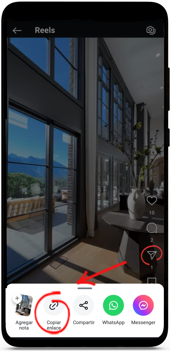 descargar reels de instagram
