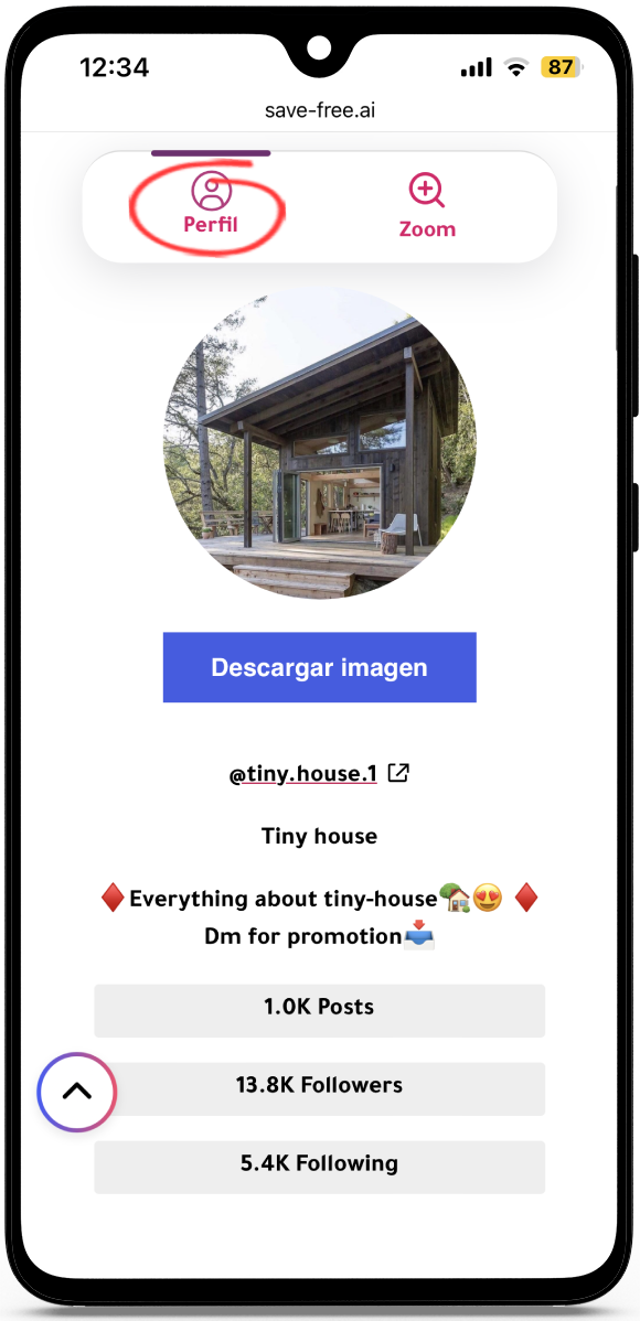 Ver Perfil de Instagram