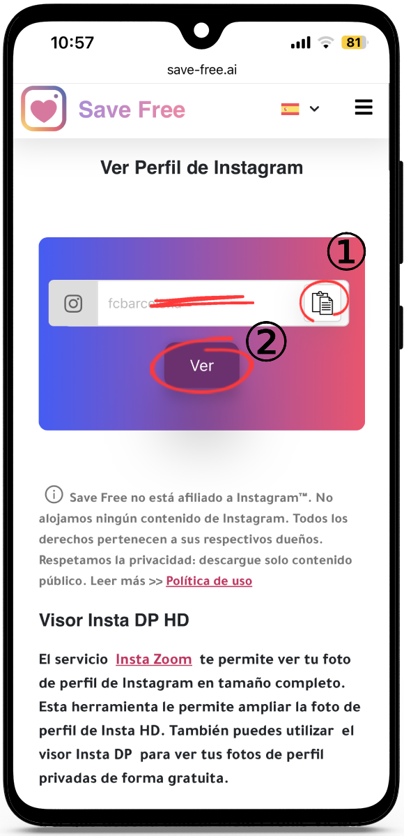 ver foto perfil instagram
