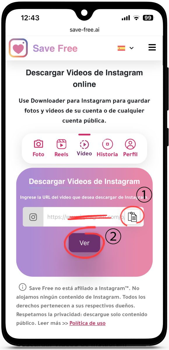 Descargar Videos de Instagram online
