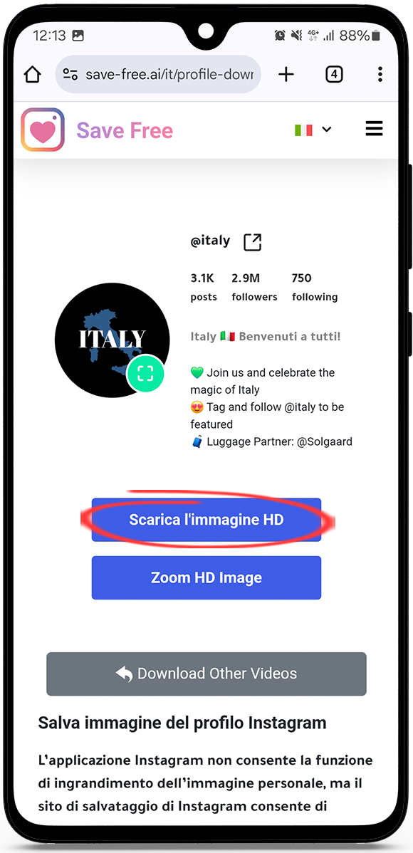Immagine profilo Instagram ingrandita