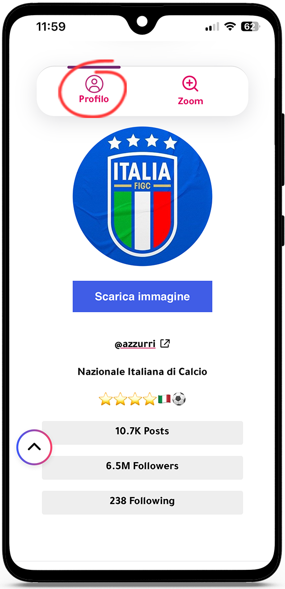 Vedere foto profilo Instagram grande