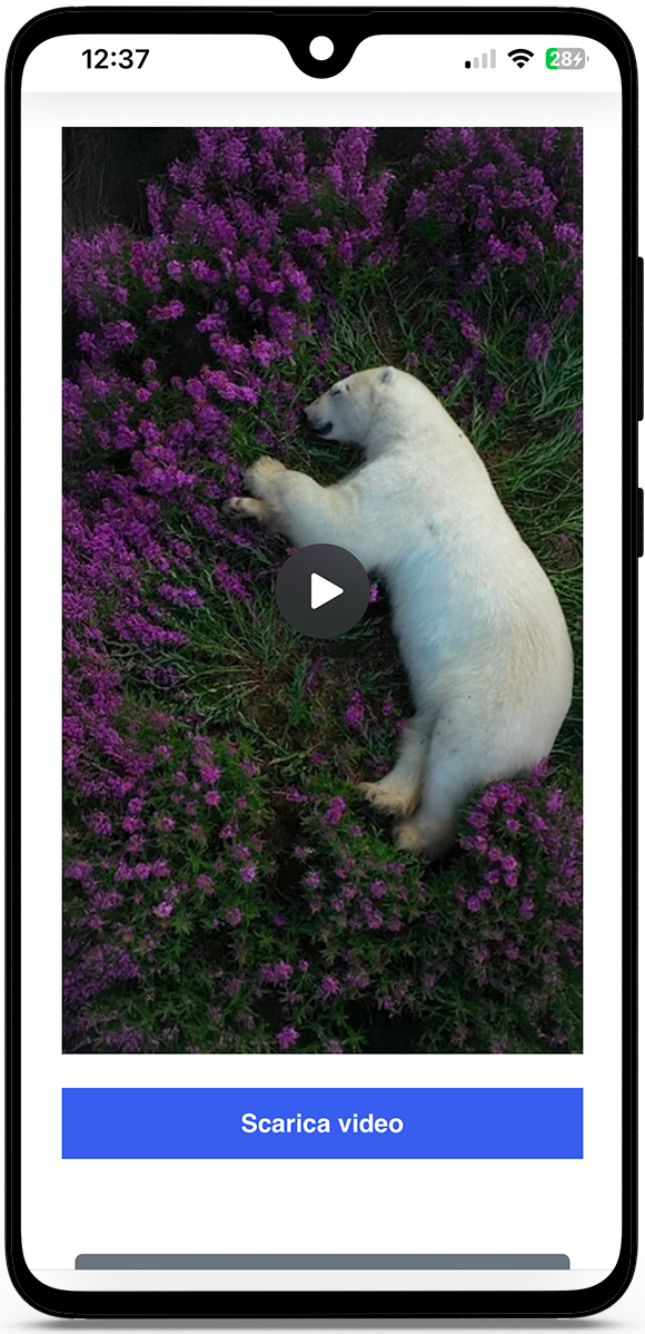 Scaricare video da Instagram