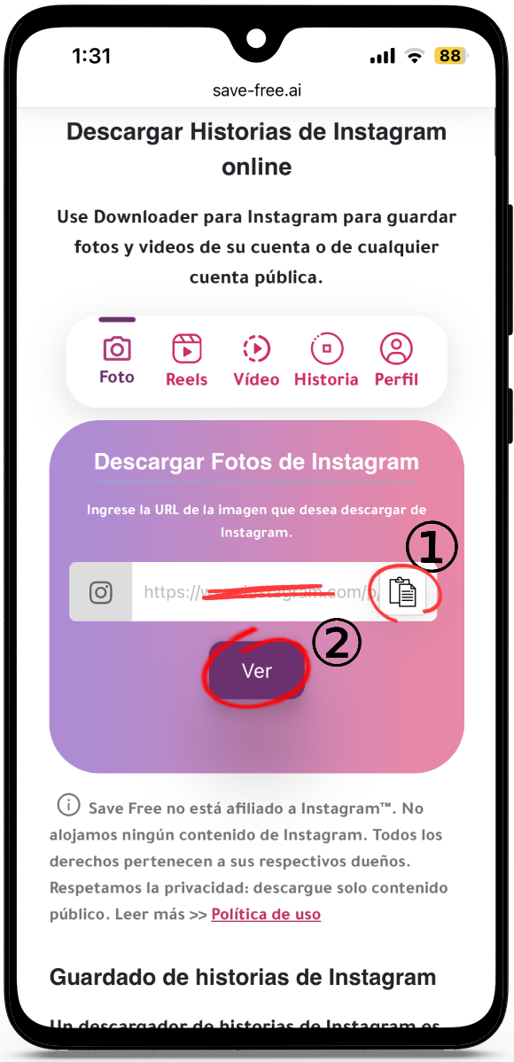 Descargar Historias de Instagram online