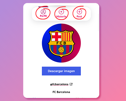Visor Instagram anónimo