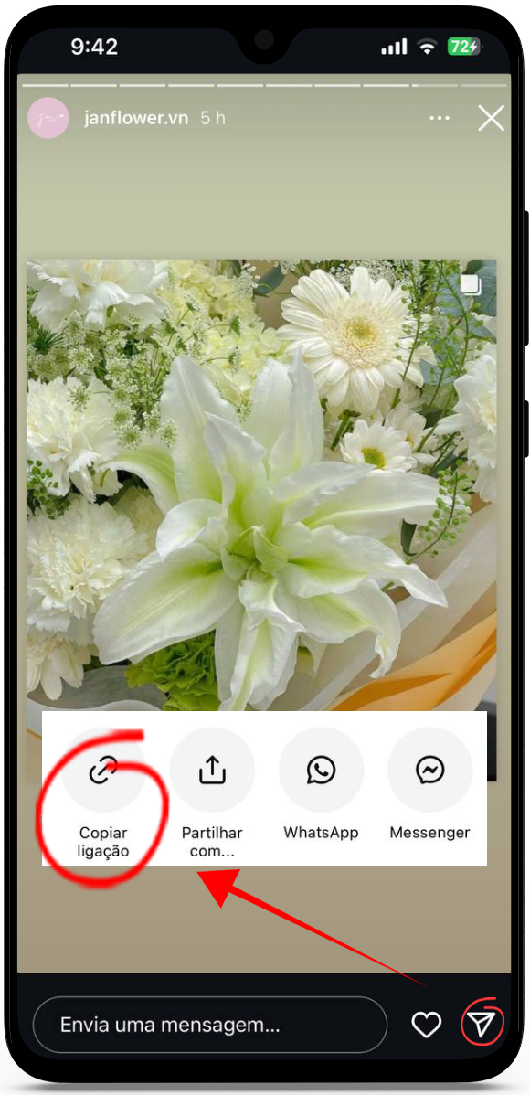 baixar stories do instagram