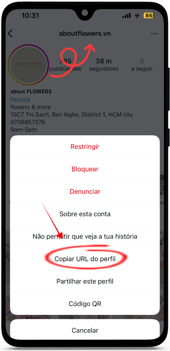 ver stories instagram anonimamente