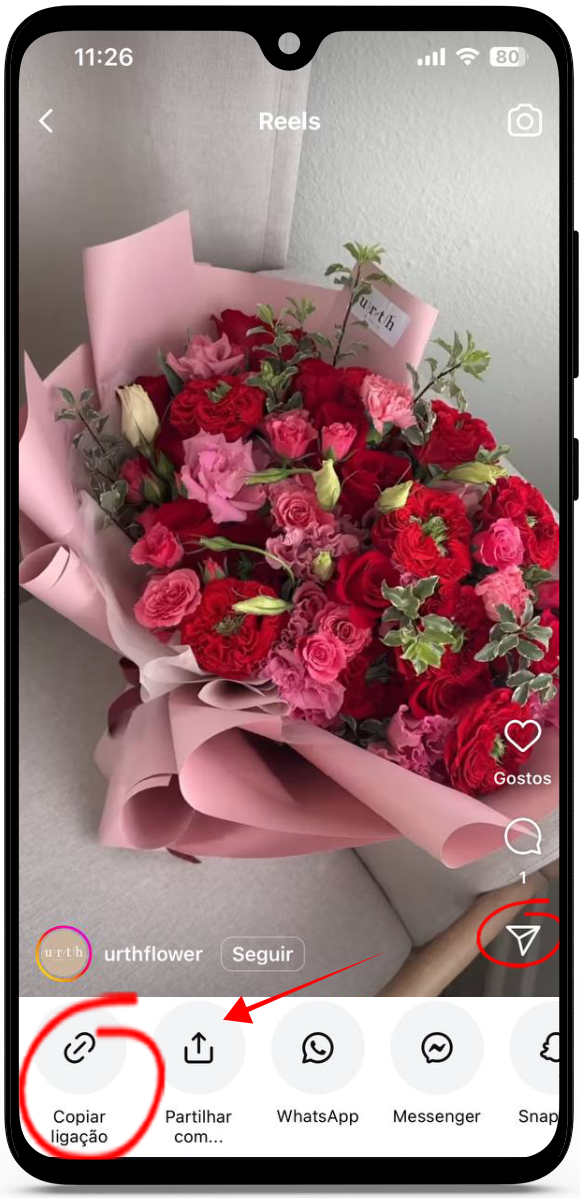 Baixar Video do Instagram