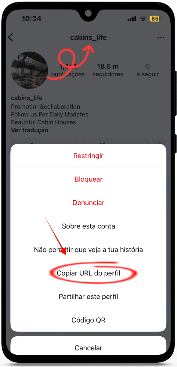 ver perfil do instagram