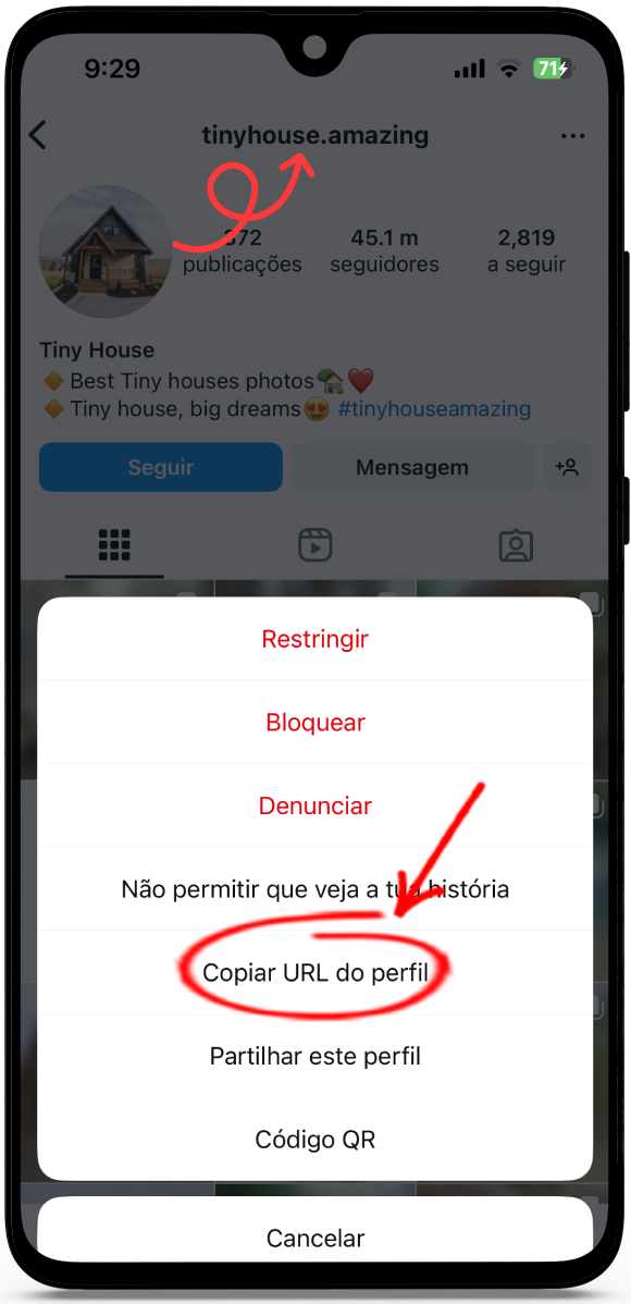 baixar foto de perfil instagram