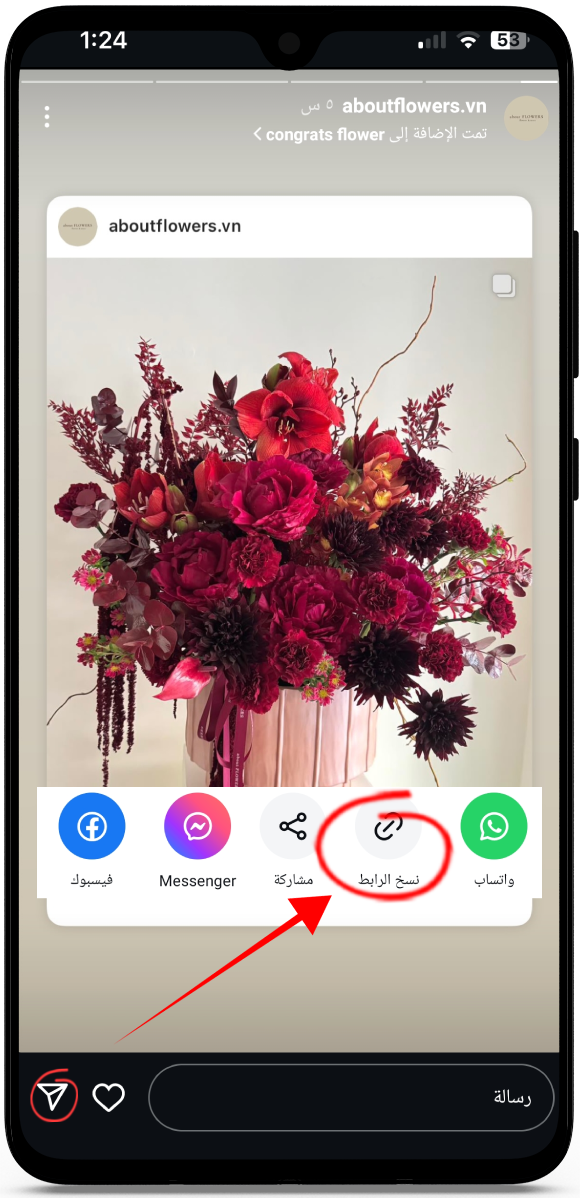 تنزيل ستوري انستا