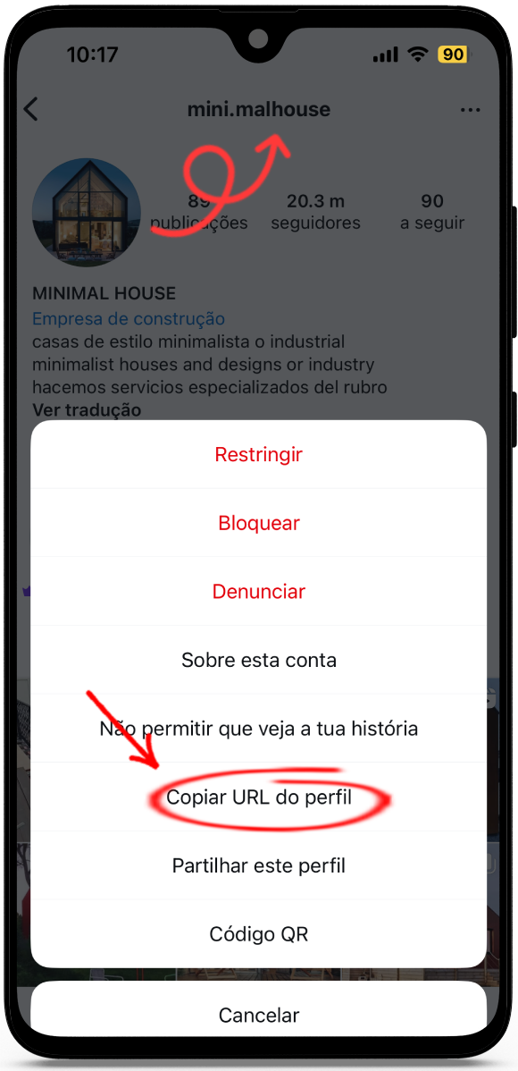 Visualizador do instagram anonimo
