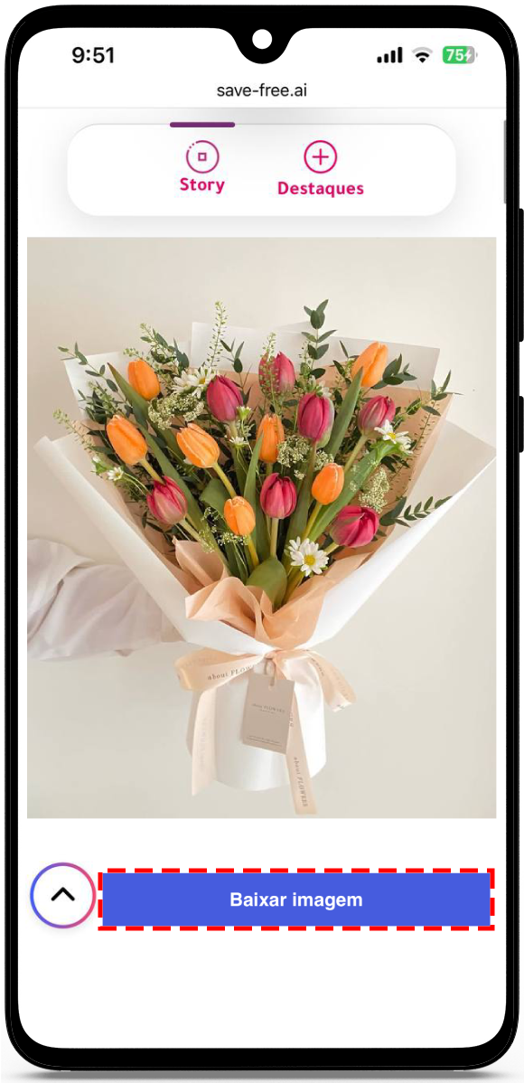 baixar stories instagram