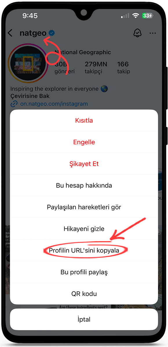 instagram gönderi görüntüleyici