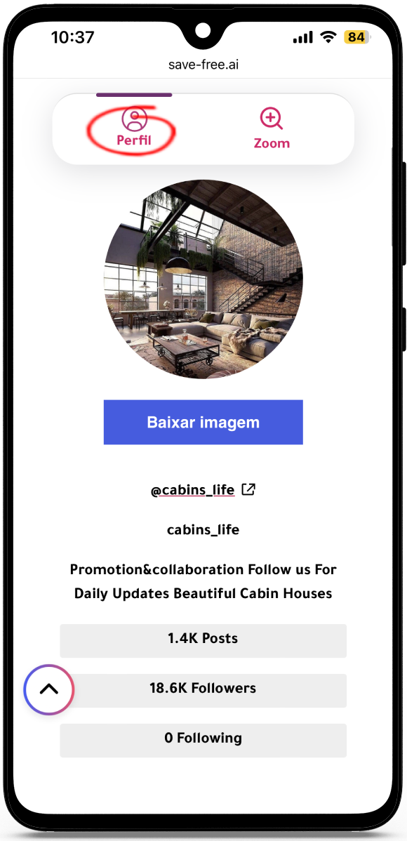 ver perfil do instagram