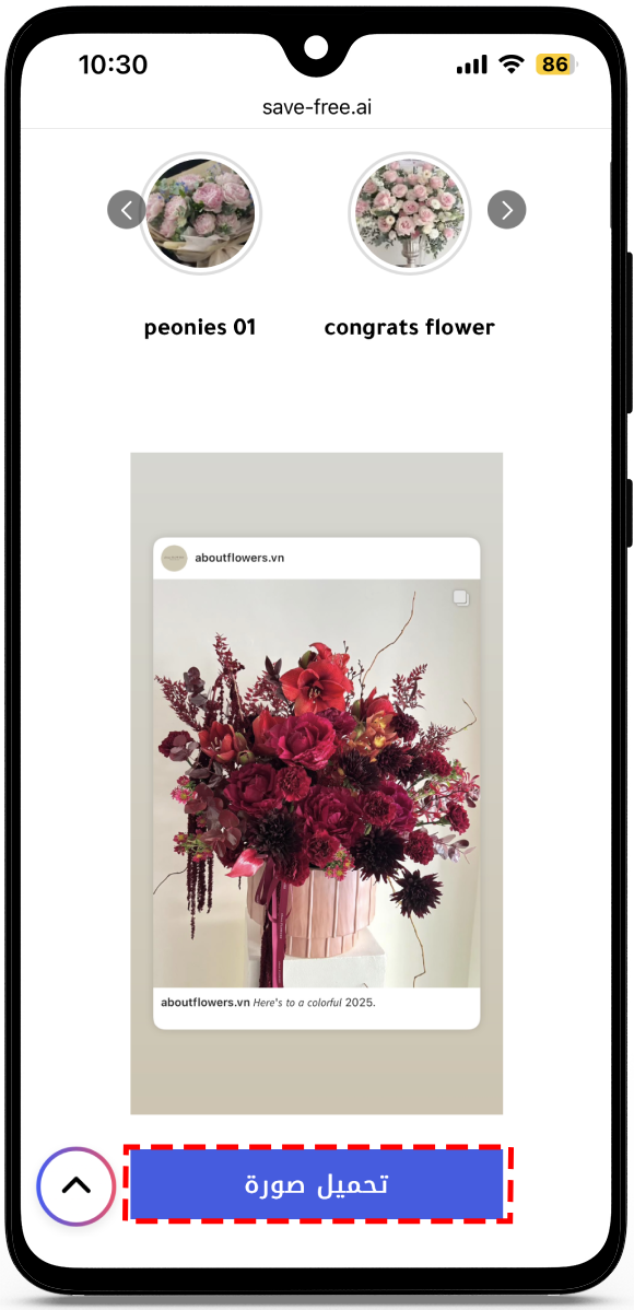 تنزيل ستوريات انستا