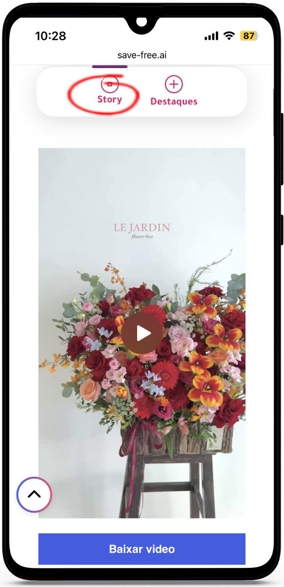 Visualizador do instagram anonimo