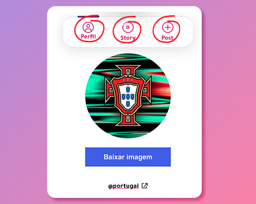 Visualizador Anónimo do Instagram