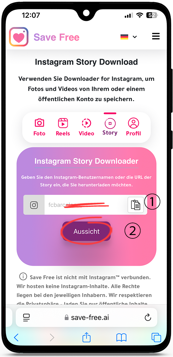Instagram Story Download