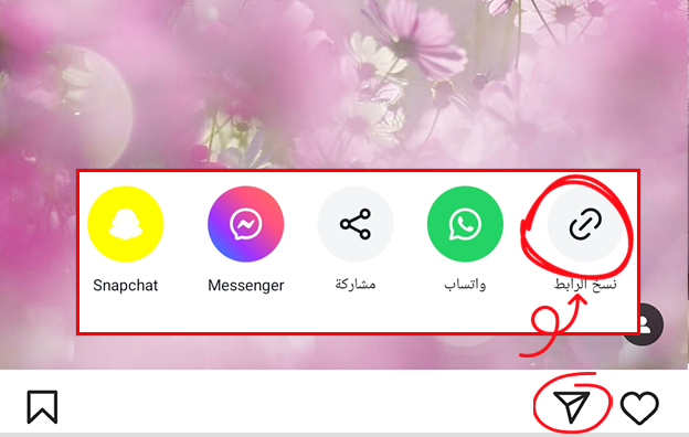 نسخ رابط صورة الانستقرام