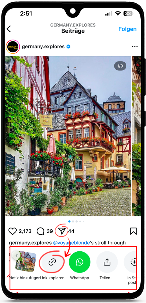 insta downloader online