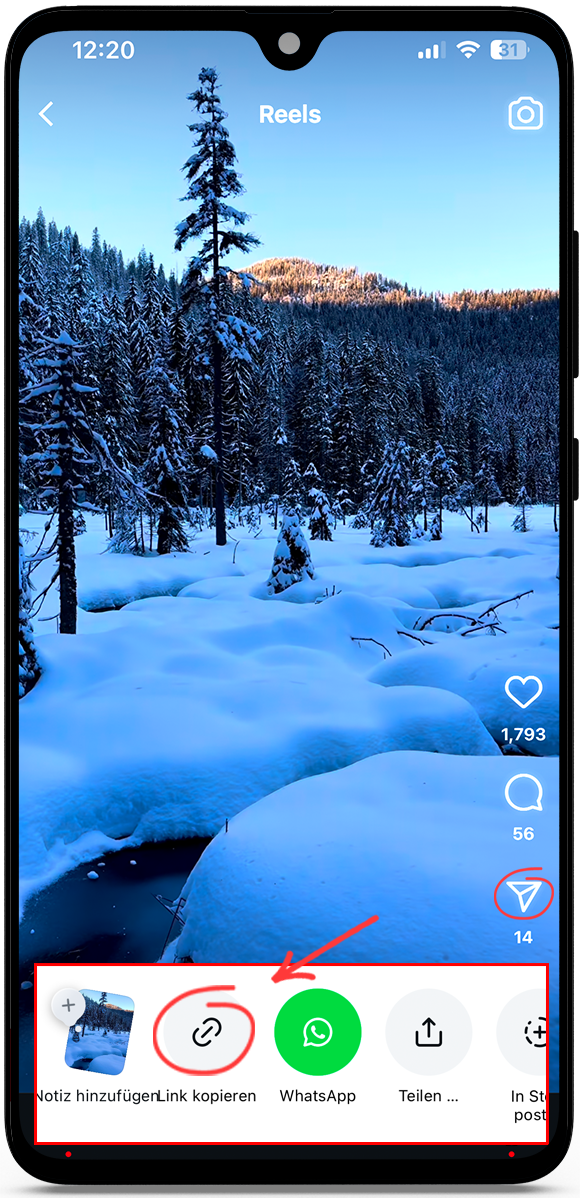 Instagram Reels Download