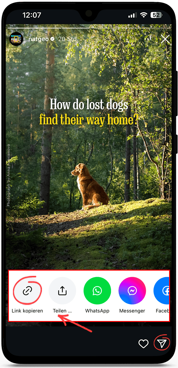 Instagram Story Download