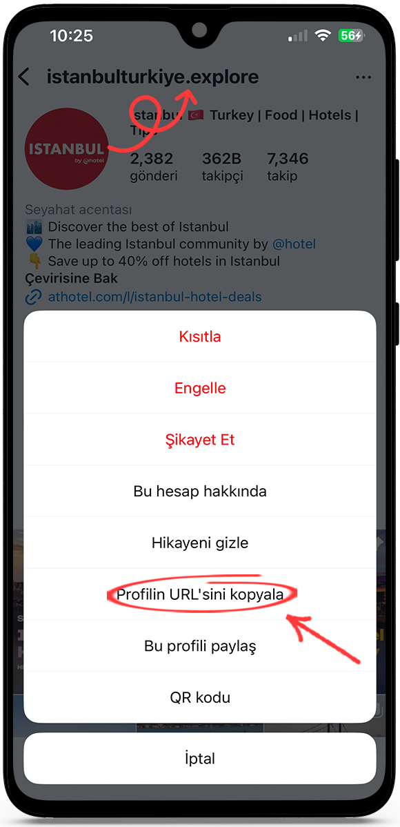 instagram profil resmi indir