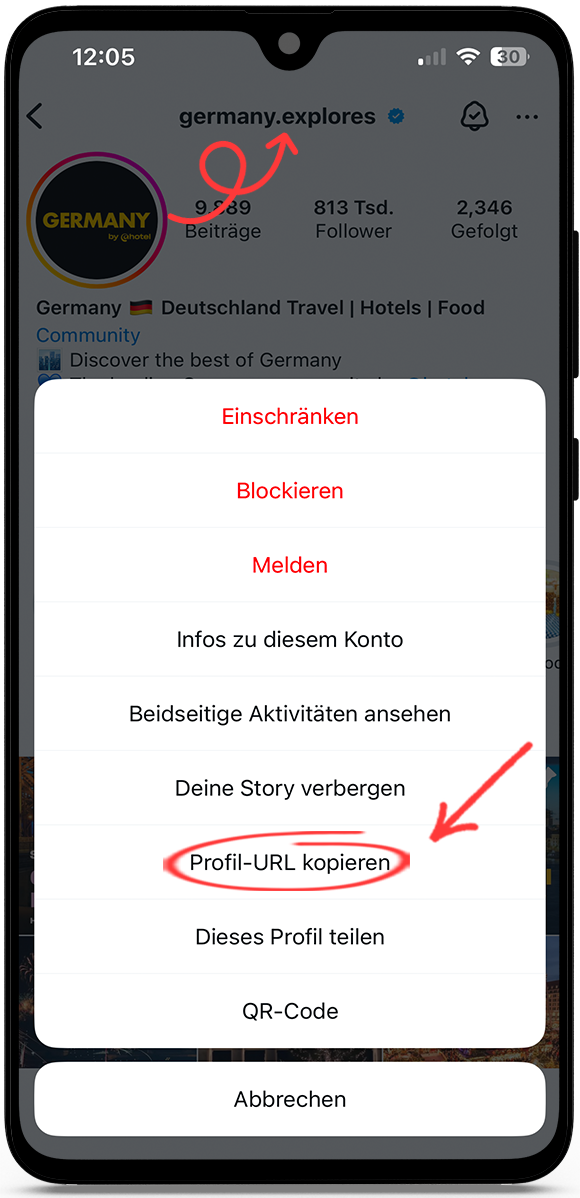 instagram profilbild zoom
