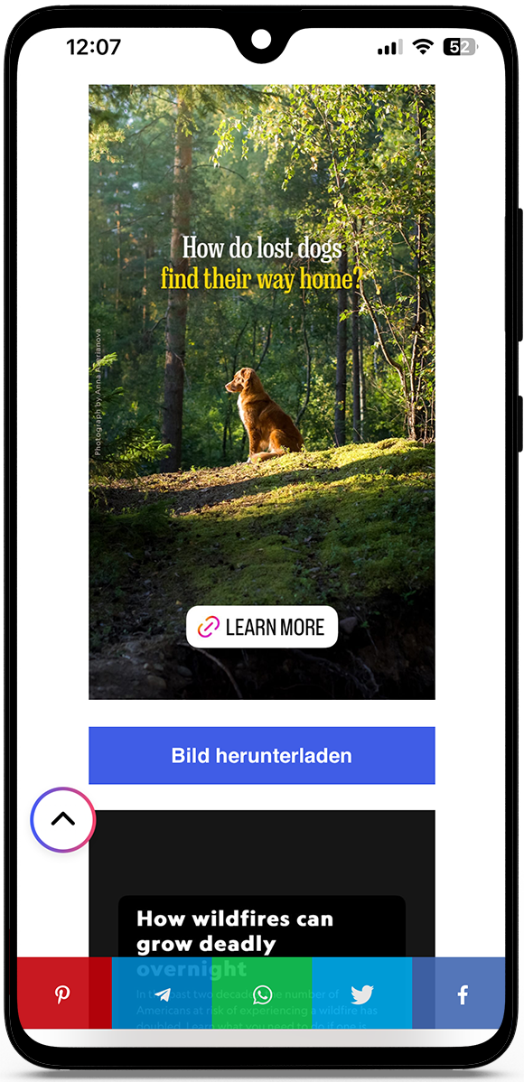 Instagram Story saver