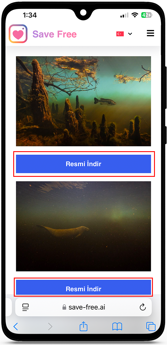 instagram foto indir