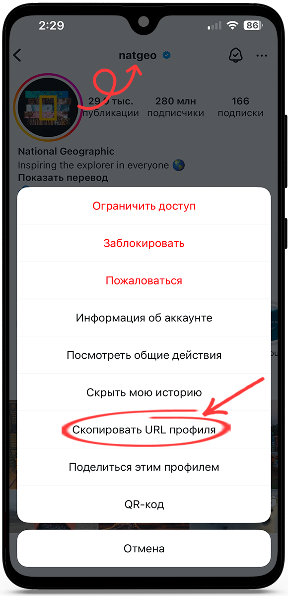 Анонимный просмотр Instagram
