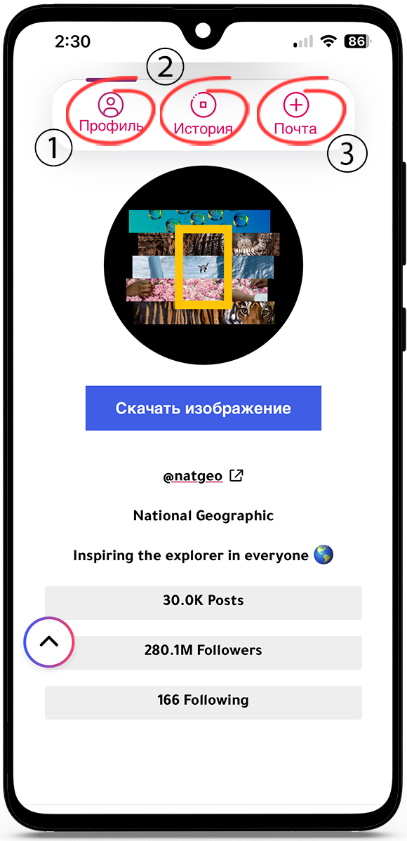 Анонимный просмотр Instagram