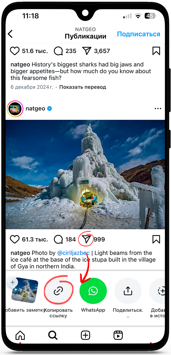 Скачать с инстаграм видео
